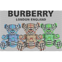 Brand Catalog-ZX 348